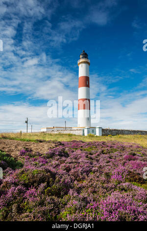 Faro di Tarbat Ness, Wilkhaven, vicino Portmahomack, costa nord della Scozia, Easter Ross, Regno Unito, Europa Foto Stock