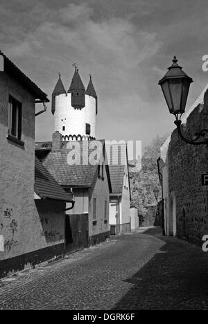 Torre nel centro storico della città, Steinheim am main, rhein-regione principale, Hesse Foto Stock