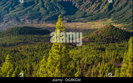 Il giovane cono vulcanico del Montana con Quemada La Cumbre Nueva montagna cresta in background, da Llano del Jable, La Palma Foto Stock