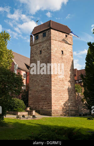 Pulverturm, Torre della Polvere, torre medievale, Eberbach offrono, Rhein-Neckar-Kreis distretto, Baden-Wuerttemberg Foto Stock