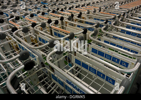 Carrello della spesa, Ayala Center Cebu, un grande centro commerciale, Cebu, Filippine, Asia Foto Stock