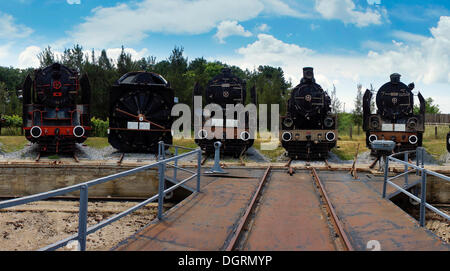 5 locomotori in piedi nella parte anteriore della tavola girevole, Çamlik Railway Museum, Çamlik, Turchia, Asia Foto Stock