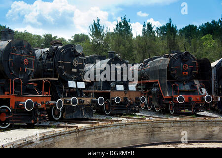 4 locomotori in piedi nella parte anteriore della tavola girevole, Çamlik Railway Museum, Çamlik, Turchia, Asia Foto Stock