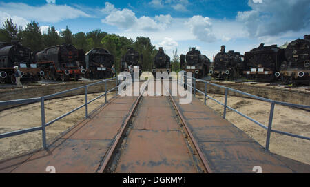 8 locomotori e di un ventilatore di neve in piedi nella parte anteriore della tavola girevole, Çamlik Railway Museum, Çamlik, Turchia, Asia Foto Stock