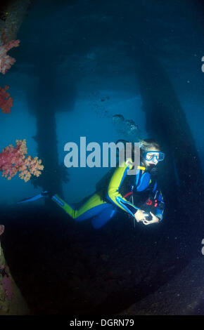 Vecchio molo abbandonati per le navi cisterna e le barche di alimentazione, ricoperta da coralli, diver immersioni sotto il molo, Padre Burgos Foto Stock