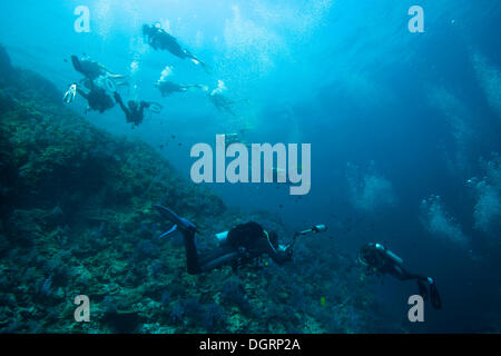 Molti subacquei immersioni subacquee in prossimità di una barriera corallina, scuba diving come uno sport popolare, Richelieu Rock, Richelieu Rock, Thailandia Foto Stock