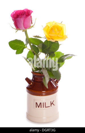 Due Rose in un annata bricco per latte studio ritaglio Foto Stock