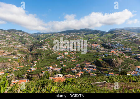 Città di Câmara de Lobos, Funchal, Porto de Camara de Lobos, Ilha da Madeira, Portogallo Foto Stock