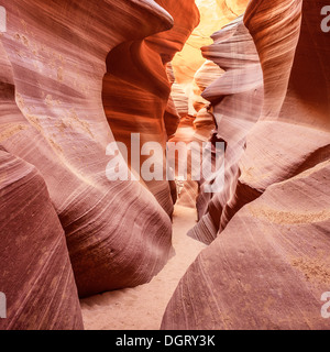 In vista del famoso Antelope Canyon, STATI UNITI D'AMERICA Foto Stock