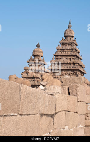 Shore tempio di Mahabalipuram, Mamallapuram, Mahabalipuram, Tamil Nadu, India Foto Stock