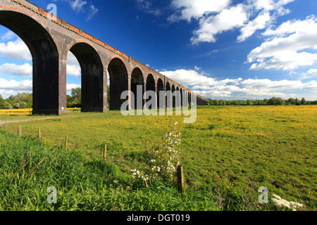 Vista estiva del Harringworth viadotto ferroviario, fiume Welland valley, Harringworth village, Northamptonshire, Inghilterra; Gran Bretagna Foto Stock