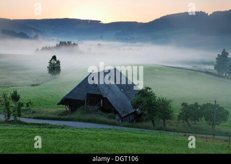 Azienda agricola nella nebbia mattutina, Unterlangenordnach, Langenordnach, Titisee-Neustadt, Baden-Wuerttemberg, Foresta Nera Foto Stock