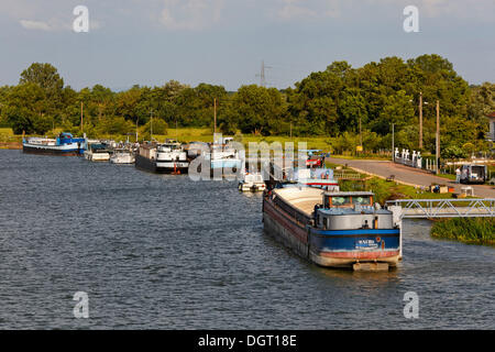 Case galleggianti sulle rive del Fiume Saone, Saint-Jean-de-Losne, Dijon, Borgogna, Côte d'o reparto, Francia, Europa Foto Stock