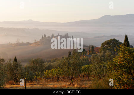 Atmosfera mattutina, vista verso il Podere Belvedere, Val d'Orcia, Val d'Orcia, dichiarato patrimonio culturale mondiale dall'UNESCO, Regione Toscana Foto Stock