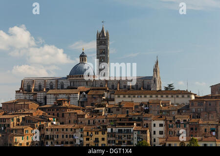 Vista sul centro storico della città verso la cattedrale di Siena, Siena, Regione Toscana, provincia di Siena, Italia, Europa Foto Stock