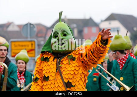 Il carnevale, sfilata di carnevale organizzata dai due locali associazioni di carnevale, Rheinfelden-AG e Rheinfelden-Baden Foto Stock