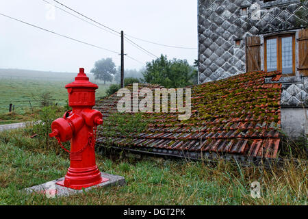 Rosso fuoco idrante, bei Les Forges d'Uzemain, Epinal, Lorena, dipartimento Vosges, Francia Foto Stock