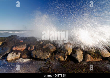 Spiaggia a Ulvshale, Moen isola, Danimarca, Europa Foto Stock