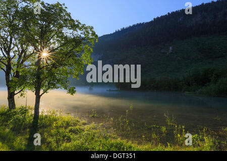 Vicino lago di Gosau nella nebbia mattutina con sunray, Salzkammergut, Austria, Europa Foto Stock