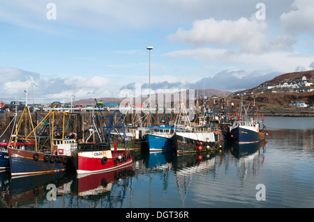 Barche da pesca nel porto di Mallaig, regione delle Highlands, Scotland, Regno Unito. Foto Stock