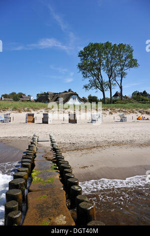 Coperto e sedie da spiaggia in vimini su una spiaggia, un groyne in primo piano, case con tetti di paglia e pioppo (populus) sul retro Foto Stock