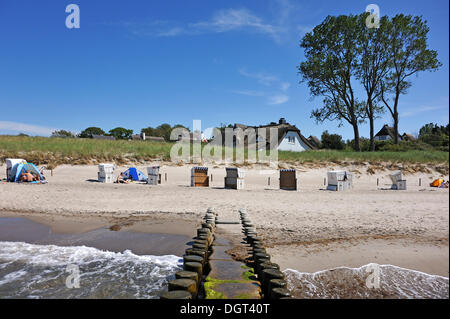 Coperto e sedie da spiaggia in vimini su una spiaggia, un groyne in primo piano, case con tetti di paglia e pioppo (populus) sul retro Foto Stock