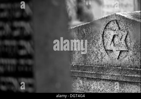 Stella di Davide su una lapide in corrispondenza del terzo cimitero ebraico di 1897, Schnaittach, Media Franconia, Bavaria Foto Stock