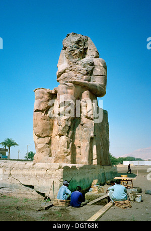 Uno dei i Colossi di Memnon sulla sponda ovest del Nilo a Luxor Egitto in fase di conservazione e reperti archeologici investigatio Foto Stock