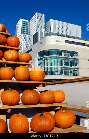 Zucche, An der Hauptwache Square, nel retro la Galeria Kaufhof centro commerciale per lo shopping nel centro della città e di una moderna torre di uffici Foto Stock