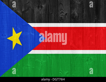 Splendido il sud Sudan bandiera dipinta su un asse di legno texture Foto Stock