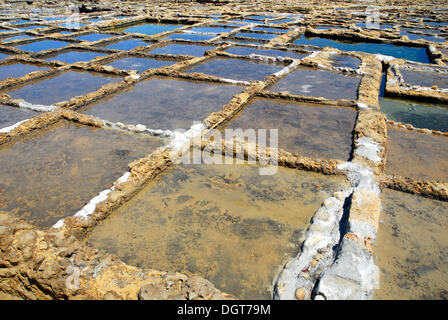 Opere di sale, costa rocciosa con salines, Xwejni Bay, Marsalforn, isola di Gozo, Repubblica di Malta, Mare Mediterraneo, Europa Foto Stock