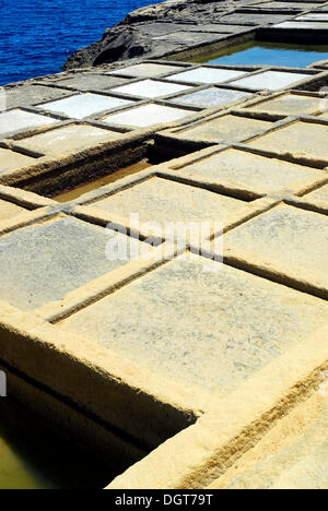 Opere di sale, costa rocciosa con salines, Xwejni Bay, Marsalforn, isola di Gozo, Repubblica di Malta, Mare Mediterraneo, Europa Foto Stock