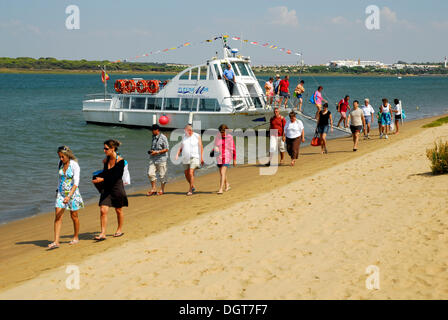 Gita in barca sul Rio Piedras river, Nueva Umbria languet, Cartaya, Costa de la Luz, regione di Huelva, Andalusia, Spagna, Europa Foto Stock