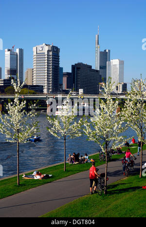 La gente sulla riva del fiume Main, Theodor-Stern-Kai, nella parte anteriore della skyline di ufficio e il quartiere delle banche Foto Stock