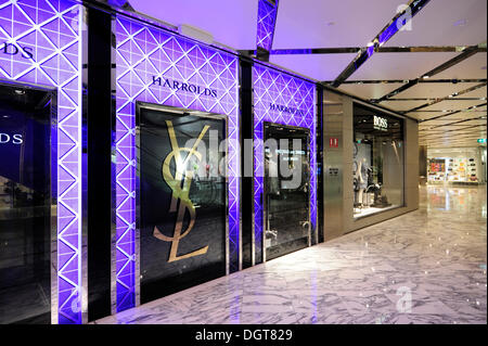 YSL pubblicità in Harrolds, un negozio in Sydney Westfield Shopping Centre, il quartiere centrale degli affari, CBD, città di Sydney, Sydney Foto Stock