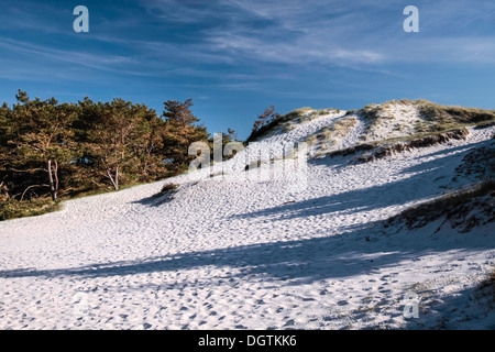 Spiaggia di sabbia bianca sulla costa sud di Dueodde, Bornholm, Danimarca Foto Stock