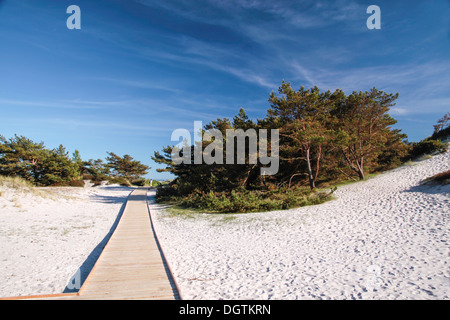 Pontile e spiaggia di sabbia bianca sulla costa sud di Dueodde, Bornholm, Danimarca Foto Stock