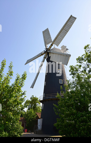 Il mulino a vento di Alford, Alford, Lincolnshire, England, Regno Unito Foto Stock