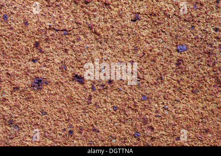 Close up di tessitura in cotto adatto per lo sfondo o schermo. Ideale per Testo / copia. Utile per effetti grunge. Rosso, macchie blu Foto Stock