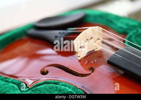 Un nuovo violino in un caso di velluto Foto Stock