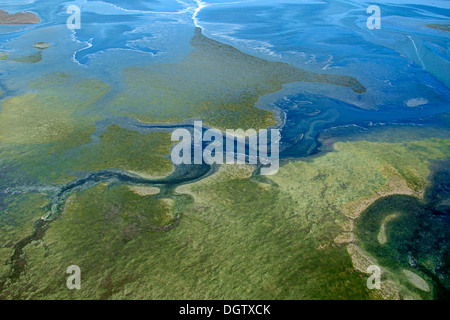 Estuario lungo Puget Sound Foto Stock