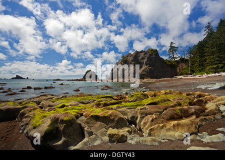 WASHINGTON - Rocce, seastacks e isole da Rialto Beach in corrispondenza del foro del muro nel Parco Nazionale di Olympic. Foto Stock