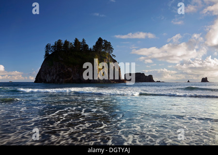 WASHINGTON - isole Offshore e seastacks lungo la costa del Pacifico a seconda spiaggia nel Parco Nazionale di Olympic. Foto Stock