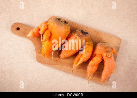 Radici di carota con forche giacente sul pannello di legno Foto Stock