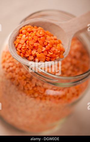 Porzione di lenticchie rosse sul cucchiaio di legno Foto Stock