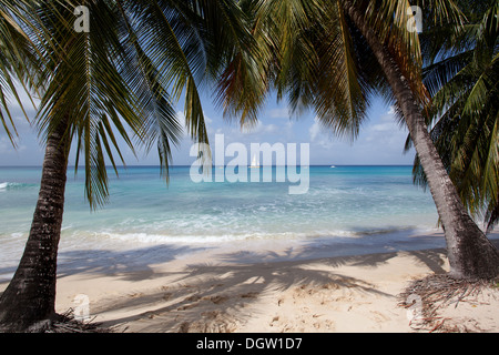 Spiaggia tropicale con vista sul mare e palme Foto Stock