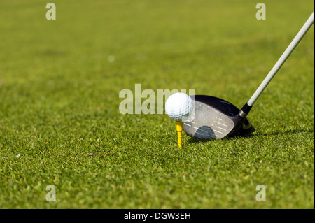 Golf club con palla da golf Foto Stock