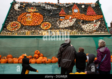 Visualizzazione di zucche ottobre Slindon West Sussex Foto Stock