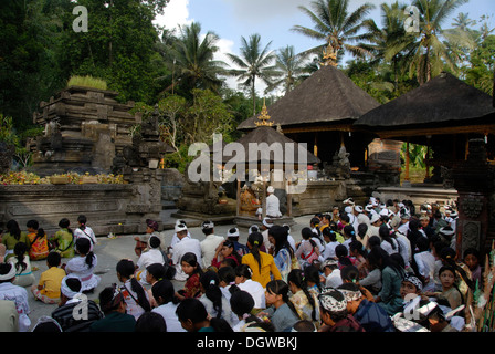 L Induismo di Bali, credenti riuniti in preghiera cerimonia con bramino sacerdote, santuario con sacra primavera, Pura Tirta Empul Temple Foto Stock