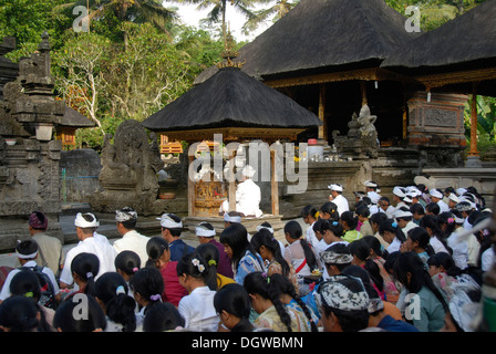 L Induismo di Bali, credenti riuniti in preghiera cerimonia con bramino sacerdote, santuario con sacra primavera, Pura Tirta Empul Temple Foto Stock